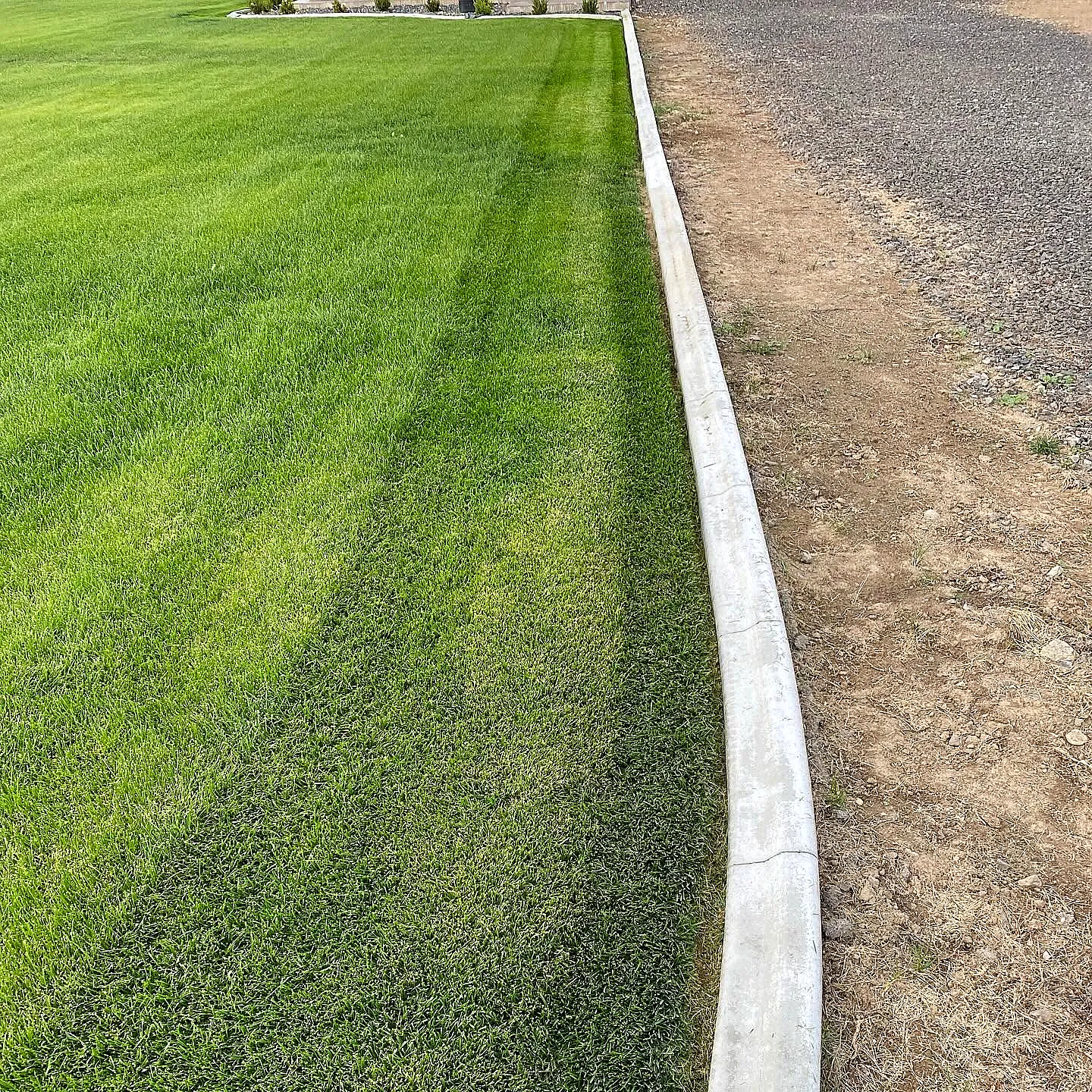 A pristine, perfectly even green lawn edged by a clean curb — low-maintenance, year-round green
